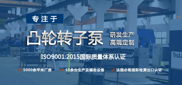 凸輪轉(zhuǎn)子泵生產(chǎn)廠家，專注于凸輪轉(zhuǎn)子泵的研發(fā)生產(chǎn)，高端定制