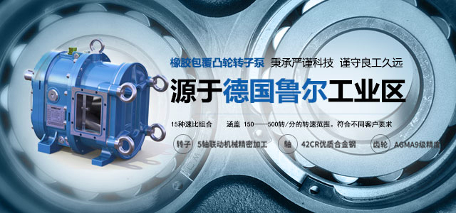 源于德國魯爾工業(yè)區(qū)的彈性體包覆凸輪轉(zhuǎn)子泵. 秉承嚴謹科技，謹守良工久遠